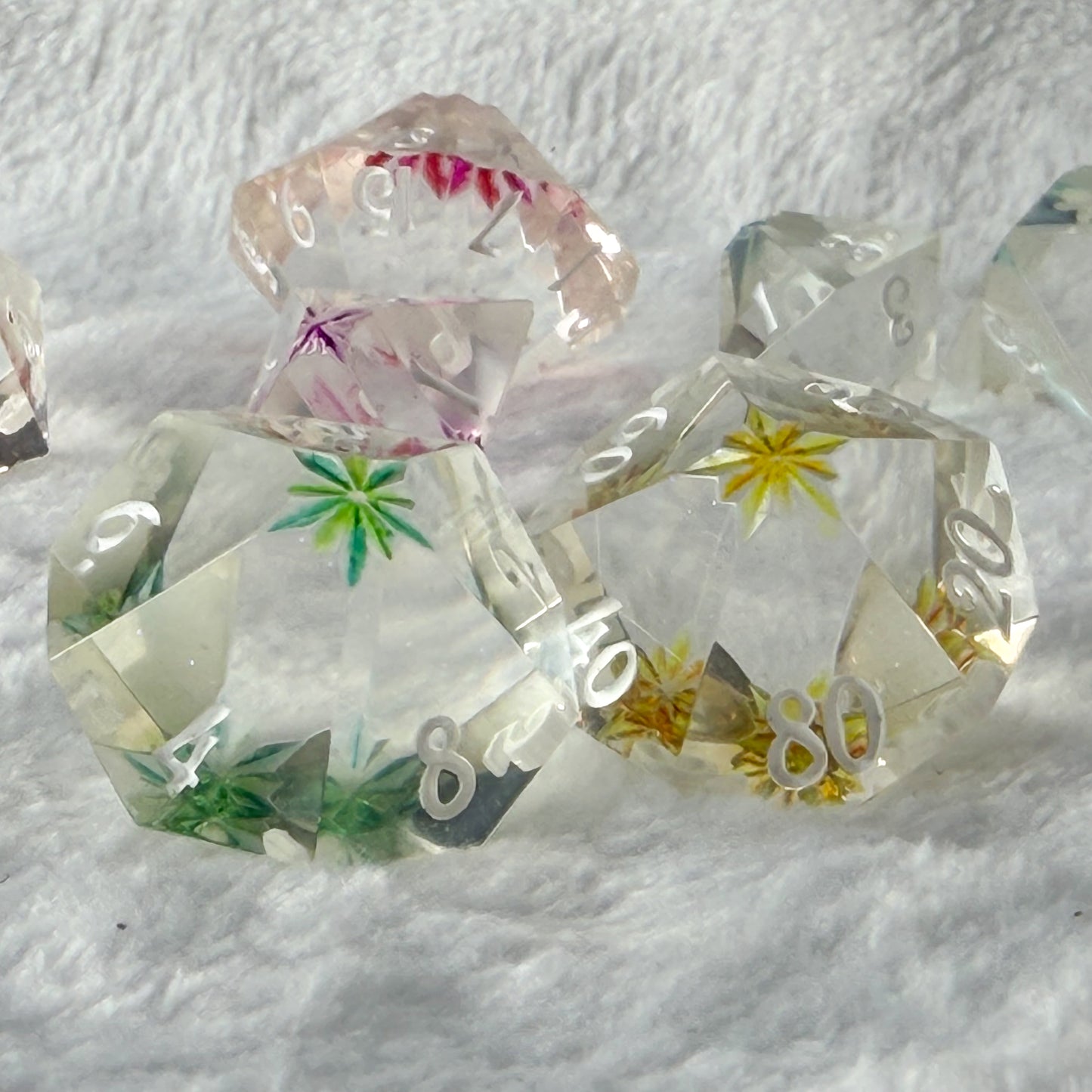 Garden of Reflections