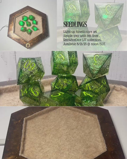 Seedling