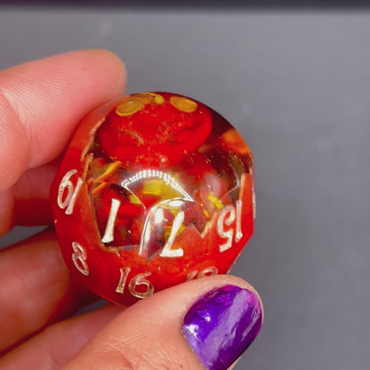 Crimson Hatchling